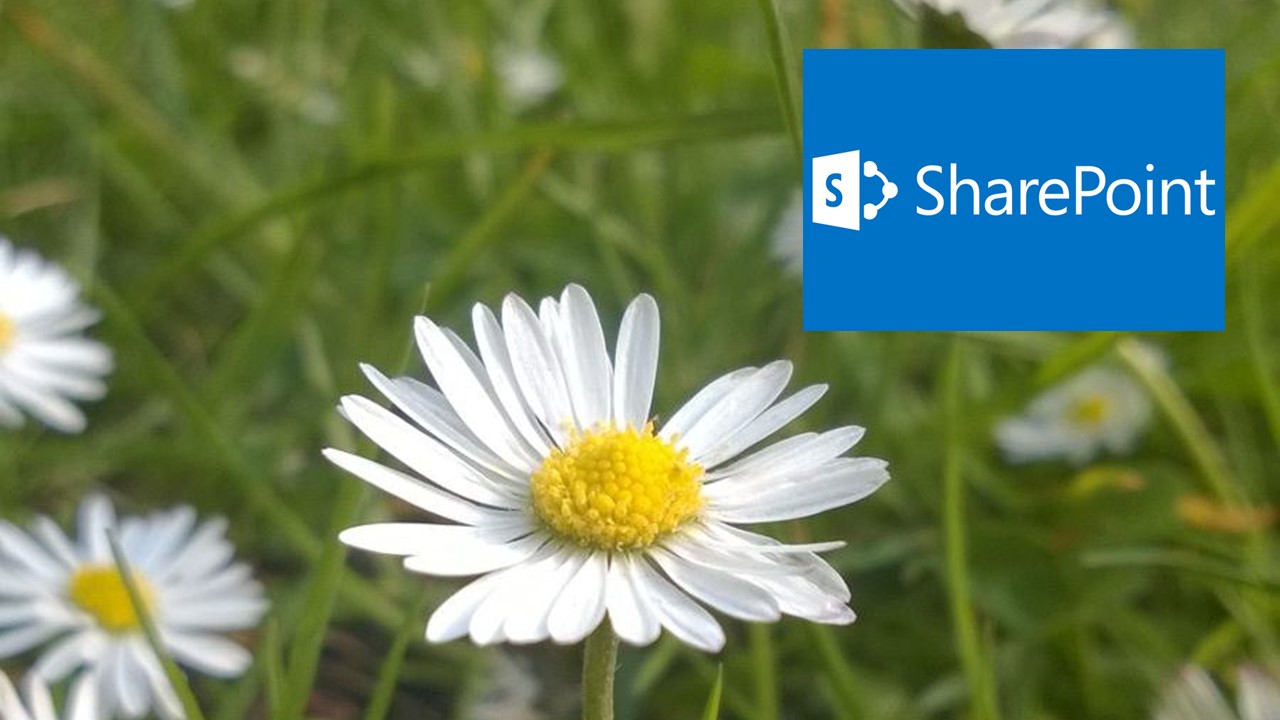 caase sharepoint digital workplace